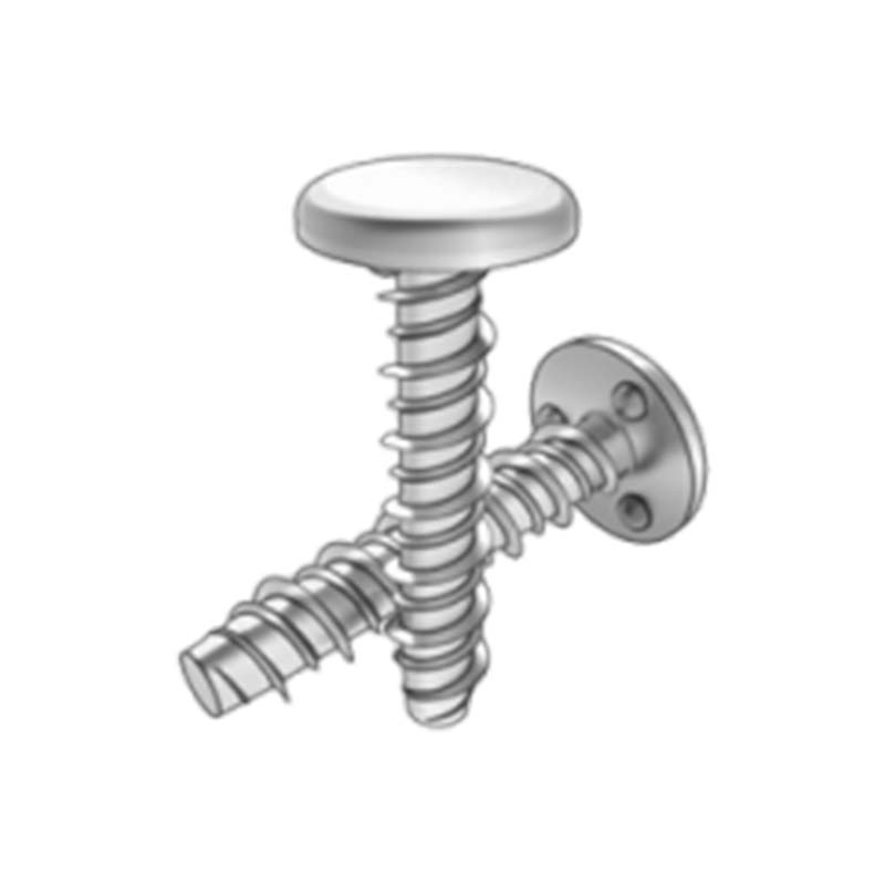 Runde Flachkopf-Buckelschweißbolzen